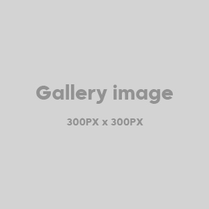 Gallery Item 1